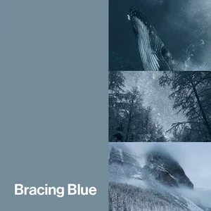 Bracing Blue Color-Up paint finish swatch for Designer Series cabinets