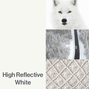 High Reflective White Color-Up paint finish swatch for Designer Series cabinets