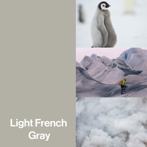 Light French Gray Color-Up paint finish swatch for Designer Series cabinets