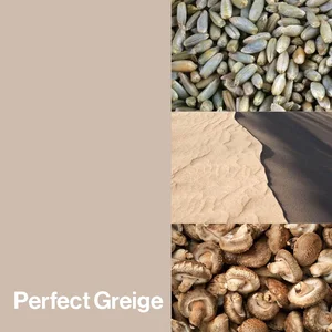 Perfect Greige Color-Up paint finish swatch for Designer Series cabinets