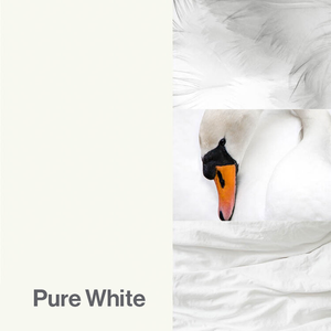 Pure White Color-Up paint finish swatch for Designer Series cabinets