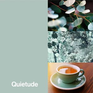 Quietude Color-Up paint finish swatch for Designer Series cabinets