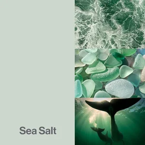Sea Salt Color-Up paint finish swatch for Designer Series cabinets