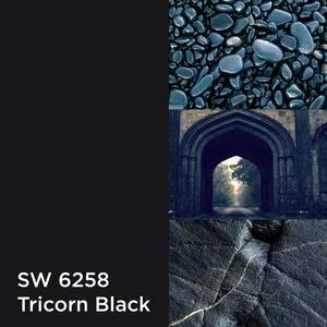 SW 6258 Tricorn Black Color-Up paint finish swatch for Designer Series cabinets