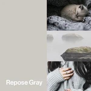 Repose Gray Color-Up paint finish swatch for Designer Series cabinets