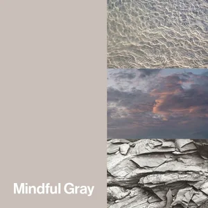 Mindful Gray Color-Up paint finish swatch for Designer Series cabinets