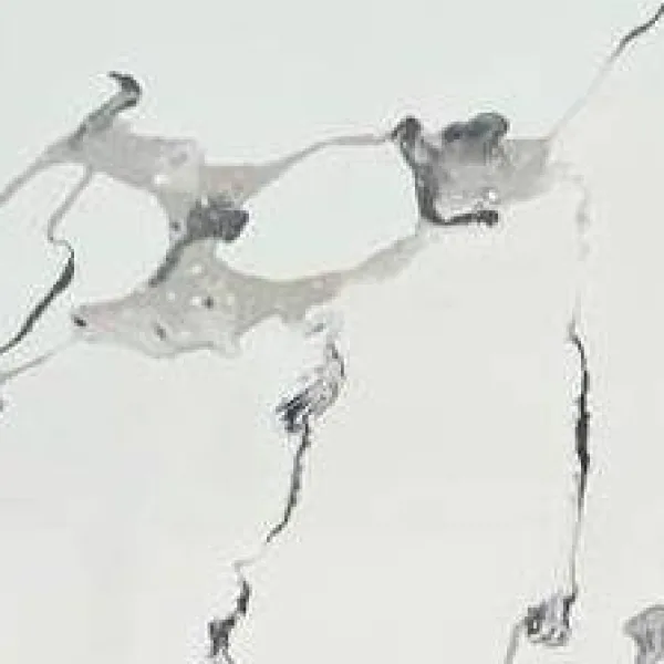 Calacatta Antique quartz color swatch