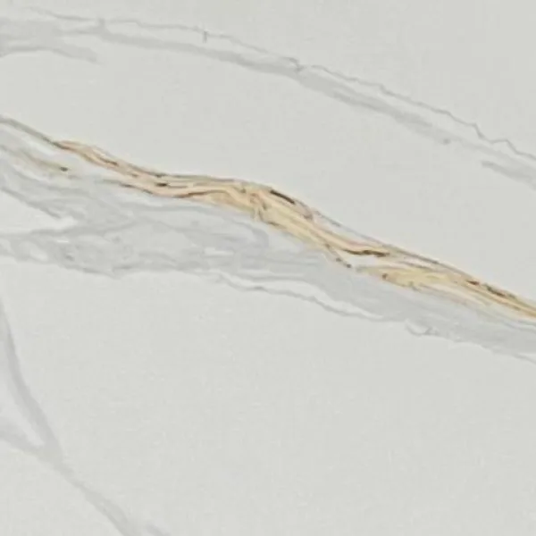 Calacatta Vallezzi quartz color swatch
