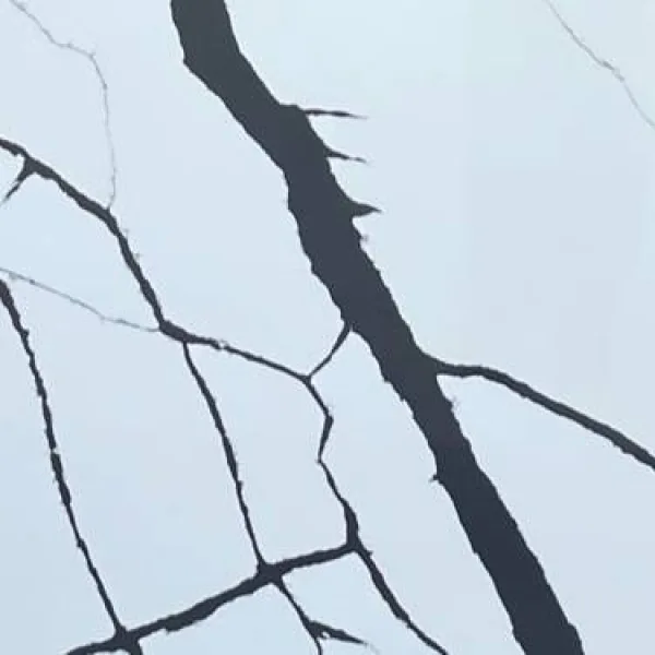 Calacatta Vena quartz color swatch