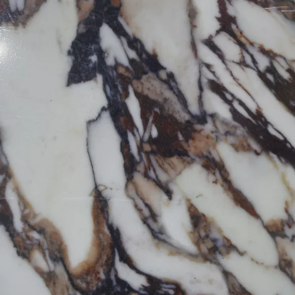 Calacatta Viola SJ quartz color swatch